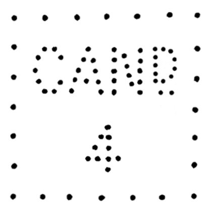 Cand4-perfin