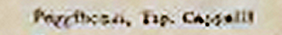 Ferrara 1921 form number