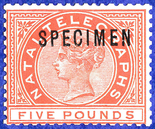 Natal £5 Specimen