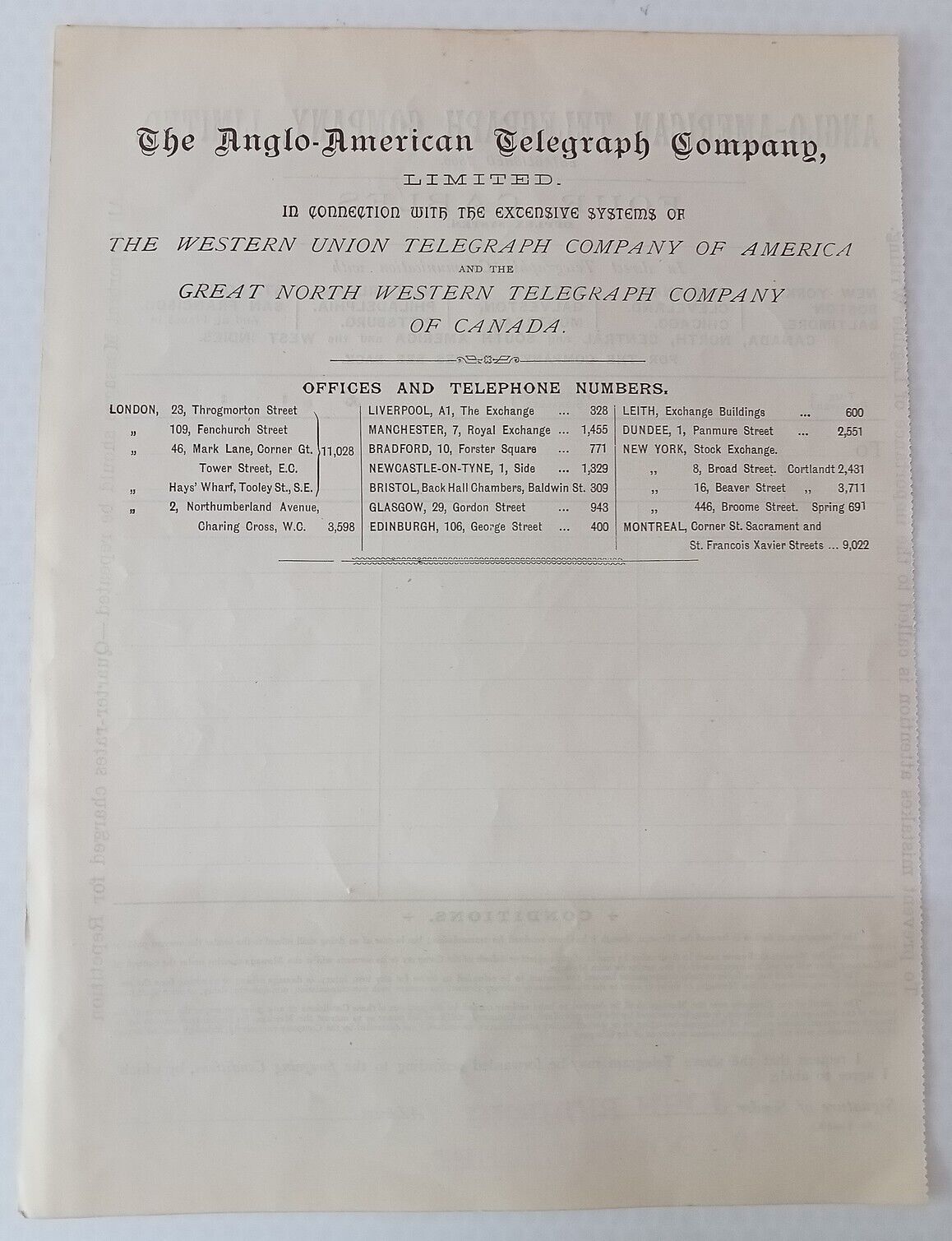 Anglo-American - back